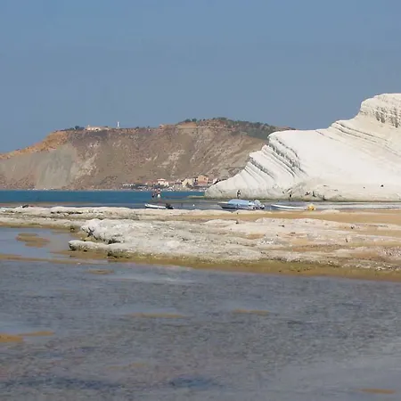 Ciccu Realmonte